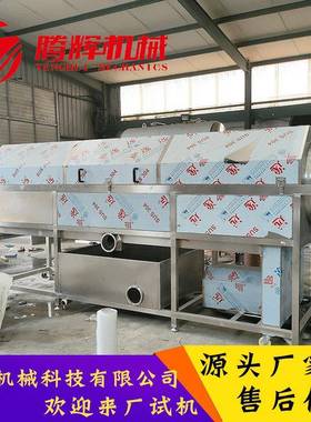 核桃仁去皮清洗机厂家生产不锈钢全自动63443筒式清带洗滚机内毛