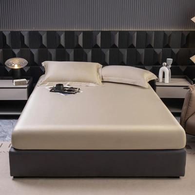 新款冬季莱天丝床笠学生宿全舍两件套家用三尔件套包裹防赛202410