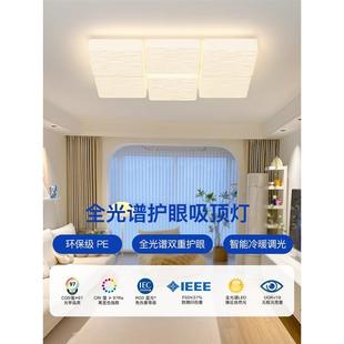 北欧家用大气大厅主灯 奶油风云朵客厅灯简约现代吸顶灯2025年新款