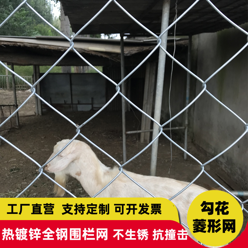 热镀锌铁丝网围栏防护网勾花网钢丝网养殖猪牛羊栏网果园围护栏网