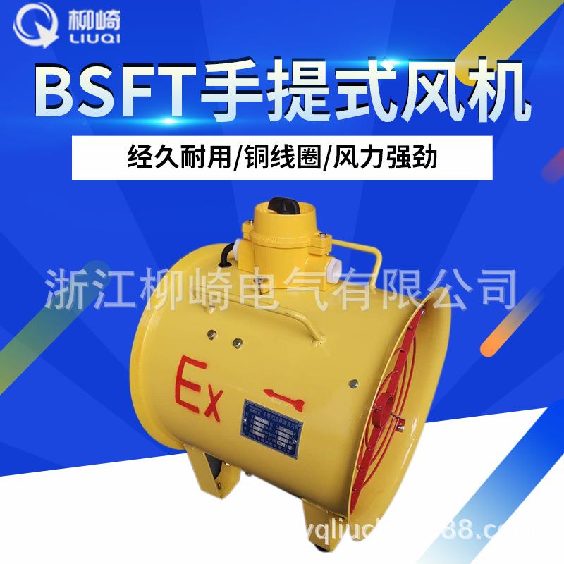 移动便捷式抽送两用8寸10寸12寸14寸16寸防爆手提式风机BSFT-300