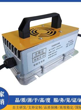 电动冲浪板高速电摩充电器扫地车48V12A48V13A48V15A智能充电机