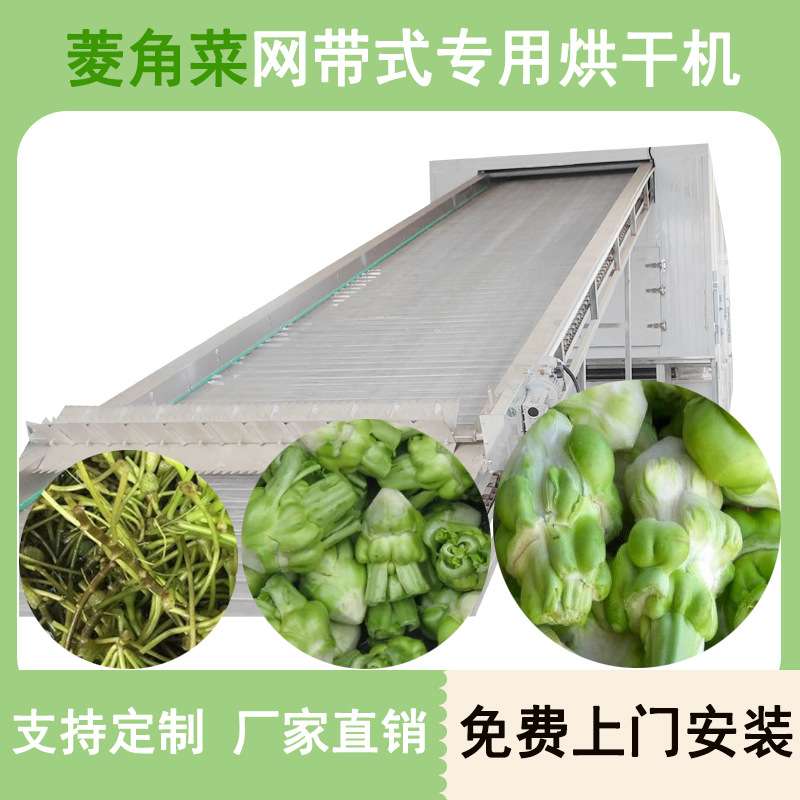 菱角菜烘干机 网带式芥菜丝烘干房 重庆粽子菜榨菜片脱水烘干设备
