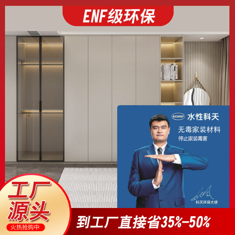 长沙全屋定制工厂现代简约风卧室衣帽间定制衣帽间整体家具定制