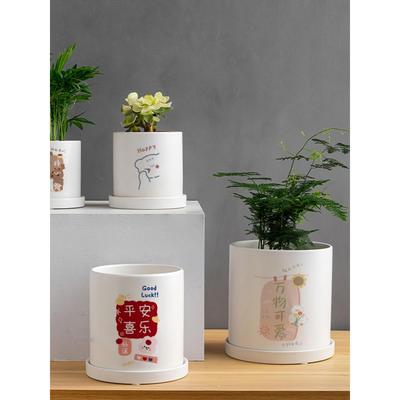 flowerpot ceramic simple large indoor plant pot with tray