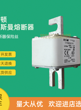 全新快速熔断器保险170M5067 170M5068 170M5108 170M5109