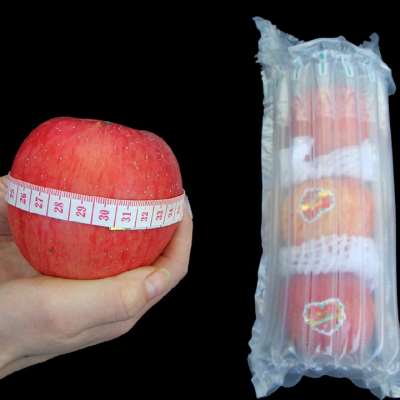 9柱25高气柱袋充气包装袋防震气柱卷材缓冲袋气泡柱非自粘膜