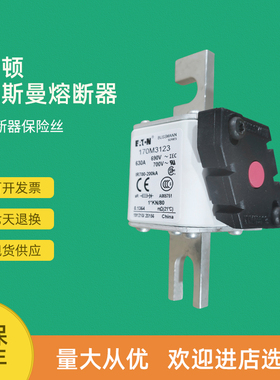 全新快速熔断器保险170M3123 170M3138 170M3139 170M3140