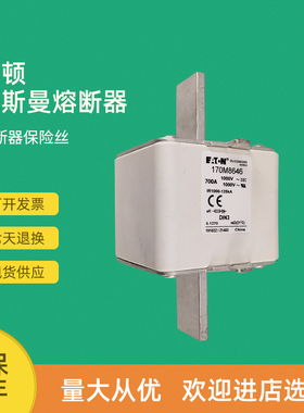 全新快速熔断器保险170M8611 170M8612 170M8613 170M8614