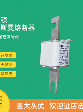 全新快速熔断器保险170M3819 170M3819D 170M3901 170M3902