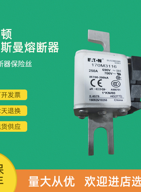 全新快速熔断器保险170M3158 170M3159 170M3160 170M3161