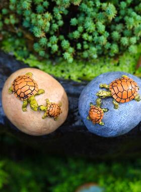 创意可爱小乌龟装饰摆饰田园花盆微景观盆景鱼池动物造景工艺礼品