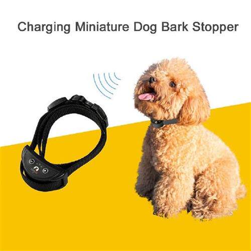 Dog Trainer Antibarking Collar Paipaitek Dog Training