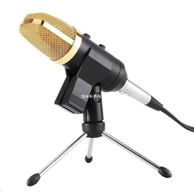 LESHP Black Volume Reverberation Condenser Network K Song De