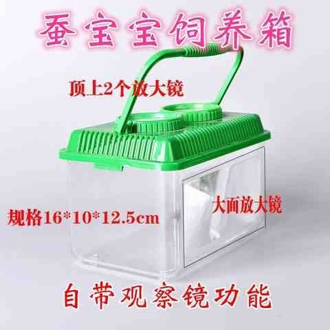 学生养蚕盒蚕宝宝别墅小型的房子宠物盒子简易大号用具装蜗牛装蚕