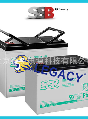 德国SSB蓄电池 SBL85-12HR 12V85AH 2113W 铅酸蓄电池