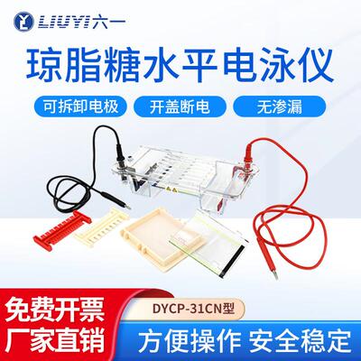 北京六一琼脂糖水平电泳仪蛋白凝胶电泳槽电源