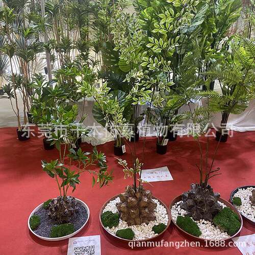仿真龟甲龙新中式现代北欧风格绿植盆景造景客厅室内蕨类摆件落地