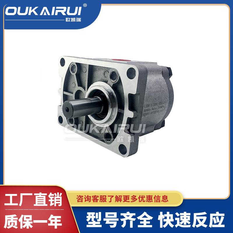 齿轮液压油泵总成CBT-F310 CBN-F304/F306/F316/E314/320/325FER2