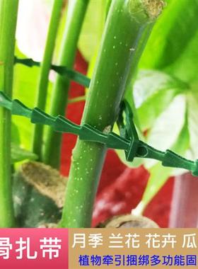 多用途鱼骨刺绿色园林绑扎带,园林线 扎带 园艺鱼骨扎线植物固定