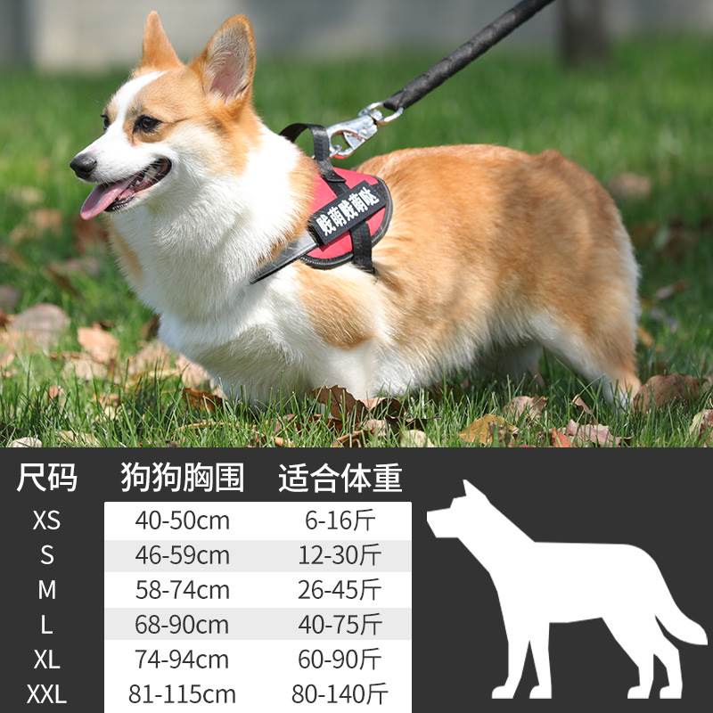 狗狗胸背带防爆冲小型中型大型犬外出遛狗牵引绳背心式链狗链子