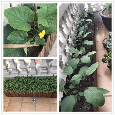 极速阳台花盆长方形花槽室外花箱花池围栏摆设大号园艺加长木制木