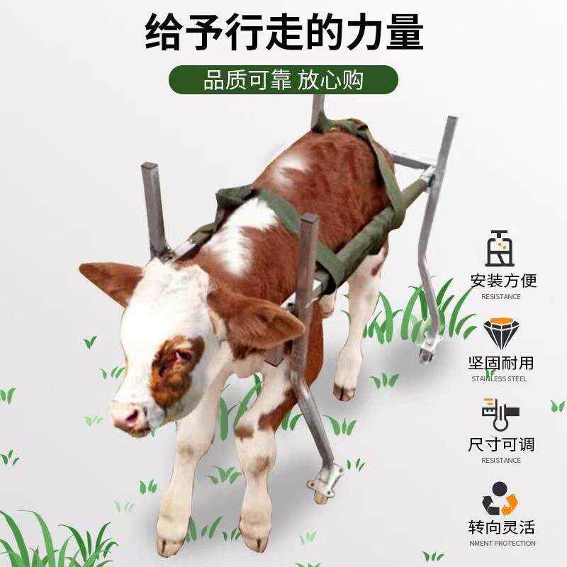 加固牛犊学步车犊牛站立走路车起立架小牛康复车牛用养殖