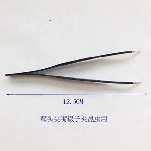 极速蝴蝶标本手工diy制作材料昆虫针展翅板昆虫标本盒子工具套装