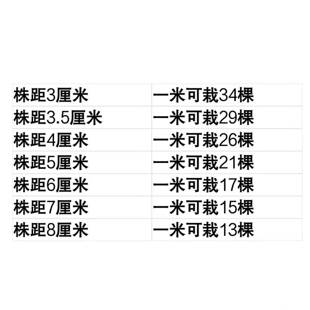 栽葱压坑神器大葱插子栽洋葱神器实心钢筋播种神器