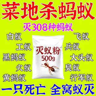蚂蚁药农用菜地无毒一窝端白蚁防治专用药强效毁巢灵灭蚂蚁药粉剂