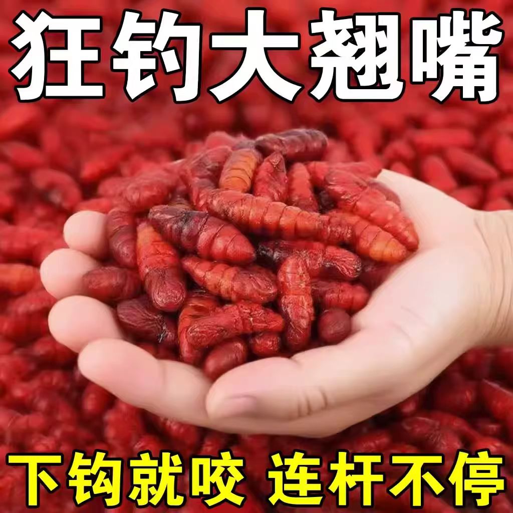 邓刚主攻浮钓翘嘴专用饵料野钓黑坑江河大翘嘴玉米打窝料神器饵料