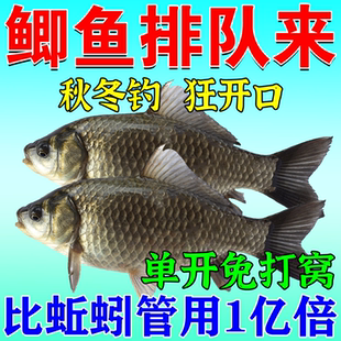 秋冬季鲫鱼饵料第一名野钓专用2025新款主攻鲫鱼一包搞定钓鱼饵料