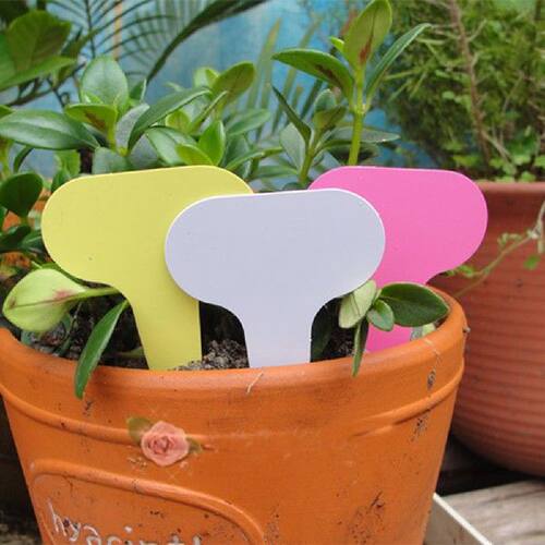 好货100 Pcs T-type Nursery Garden Plant Tag Flower Labels Pl