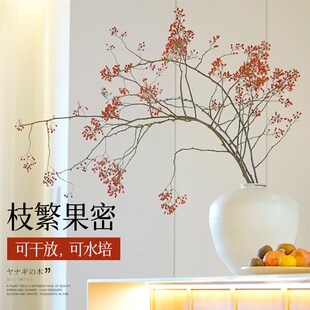 山归来鲜切水培植物蔷薇果鲜花速递同城室内家用水养鲜枝花卉绿植