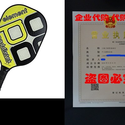 Paddletek Element Pickleball Paddle