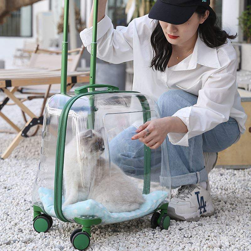 猫包外出包便捷太空舱宠物拉杆箱包推车航空箱猫咪透明狗狗行李箱