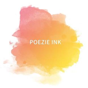 诗色 可调色 INK彩色钢笔墨水蘸水笔钢笔用不堵笔彩墨非碳素30ml装