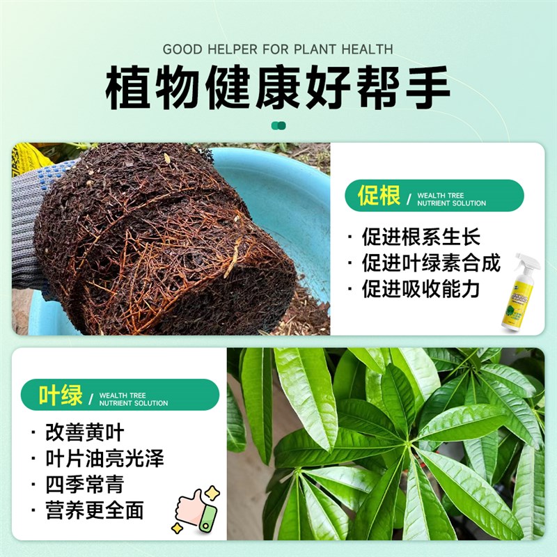免稀释发财树专用营养液花肥料盆栽植物家用金钱树花卉绿植烂根黄