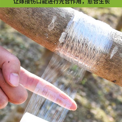 果树嫁接通用膜自粘式农用嫁接保鲜膜打包膜L嫁接刀pe嫁接膜缠绕