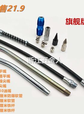 黄油枪配件黄油枪套装平油嘴尖油嘴油枪软管硬管黄油嘴黄油咀