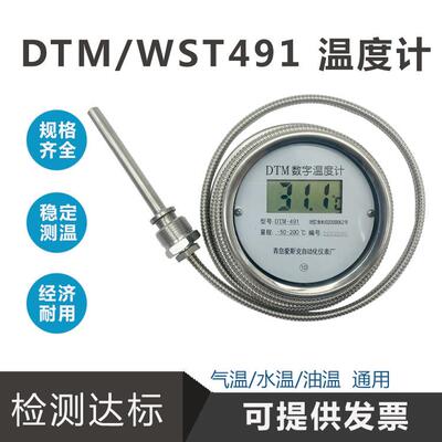 数显温度计 WST/DTM491高精度耐酸碱防水带探头 数字工业测水温计