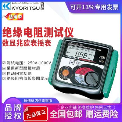 克列茨kyoritsu共立3005A绝缘电阻测试仪 数显兆欧表摇表3007A
