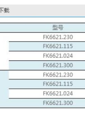 上海雷普FK6621.230（F2E-92B-230)机柜风扇控温散热通风窗带风机