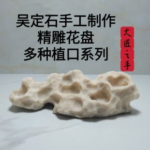 吴定石吸水石上水石捕虫堇菖蒲苔藓盆附石盆假山石雕绿植观赏摆件
