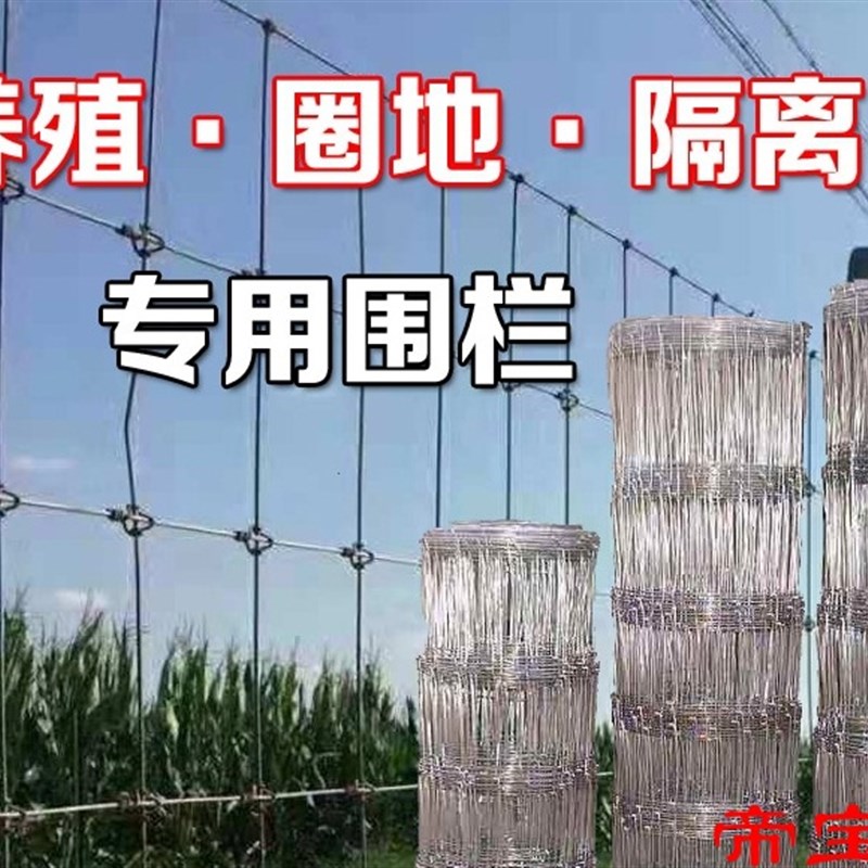 T加粗钢丝网小孔围栏养殖网防护网不锈钢护栏栅栏隔离网户外铁丝