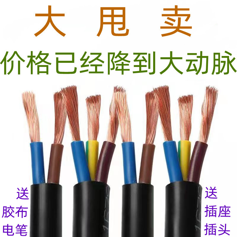 国标RVV2芯3芯电缆线1 2.5 4 6户外家用防水延长电源防冻软护套线