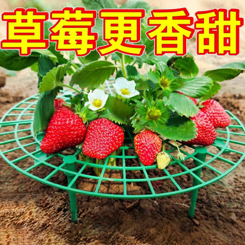 草莓种植支架防烂防倒伏