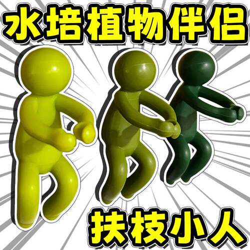 桌面水培植物生长伴侣防倒伏