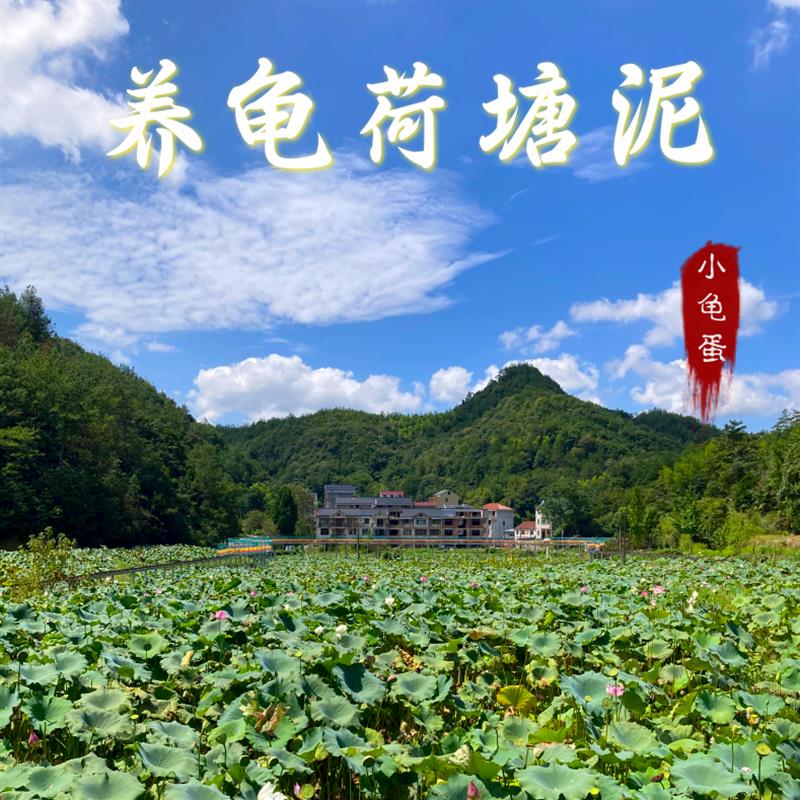 养龟塘泥河塘泥淤泥荷塘泥养龟泥乌龟冬眠泥水生植物营养土湿泥