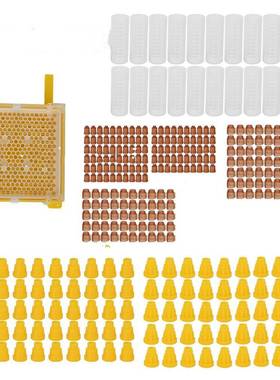 现货供应育王盒套餐育王盒王台基王台保护罩育王工具繁殖蜂王